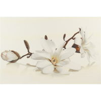 Настенный декор Cersanit Flora Magnolia Inserto 30x45 (шт)