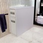 Тумба Mikola-M универсальная пластиковая 20*57*63 см для туалета и ванной белая с двумя ящиками